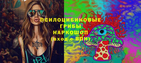 PSILOCYBIN Алексеевка