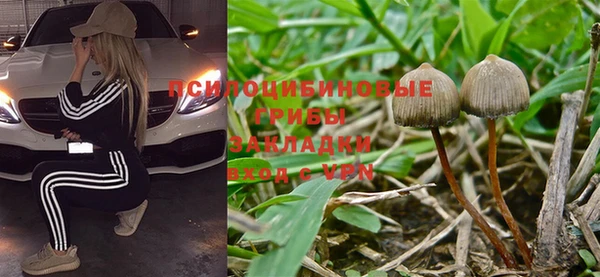 ешки Алзамай