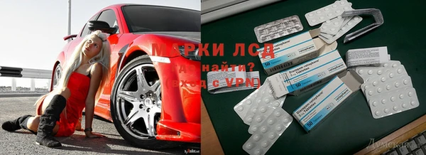 PSILOCYBIN Алексеевка