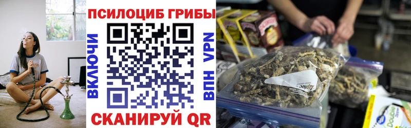 Псилоцибиновые грибы Magic Shrooms как найти наркотики Михайловск