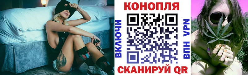 Шишки марихуана White Widow  сайты даркнета телеграм  Михайловск 